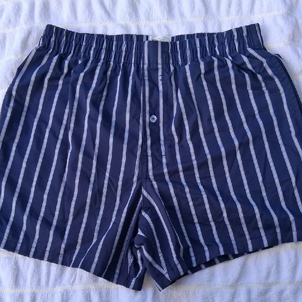 American Eagle Outfitters Men's Shorts in Navy and White